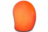 Free-Standing Polished Pink Manganoan Calcite - Fluorescent! #365846-1